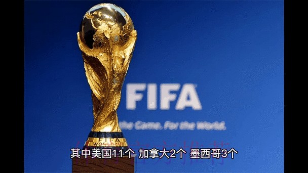 实时预测2026世界杯竞猜动态